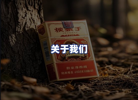 专业团队